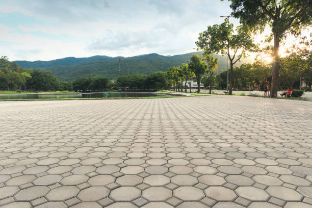 Best Affordable Driveway Paving  in Bellwood, VA